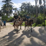 Acapulco: Bonfil Beach Horseback Riding Experience - The Scenic Route Along Bonfil Beach