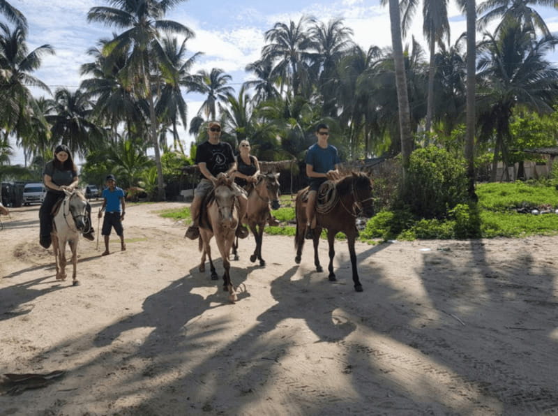 Acapulco: Bonfil Beach Horseback Riding Experience - The Scenic Route Along Bonfil Beach