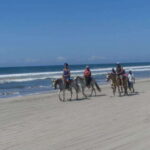 -Acapulco: Horseback Ride Exp. Crocodile Farm, and City Tour - Starting Point: Hotel Pickup and Beach Paradise