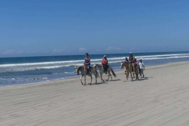 -Acapulco: Horseback Ride Exp. Crocodile Farm, and City Tour - Starting Point: Hotel Pickup and Beach Paradise