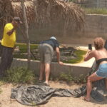 Acapulco: Lagoon Tour - Pickup and Transportation from Acapulco Hotels