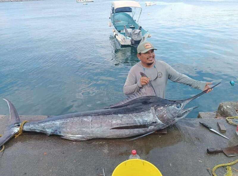 Acapulco: Private Fishing Experience - Starting Point and Pickup Details in Acapulco