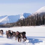 Active Winter Adventure in Yukon | 5 days - Whitehorse as the Central Hub for Yukon Adventures