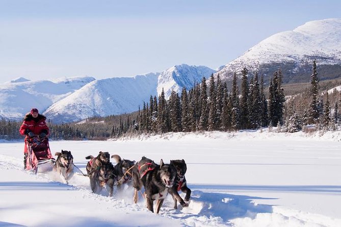 Active Winter Adventure in Yukon | 5 days - Whitehorse as the Central Hub for Yukon Adventures