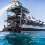 Adeje: Whale and Dolphin Watching Cruise with Lunch and Swim - The Tour Starts at Puerto Colón in Costa Adeje