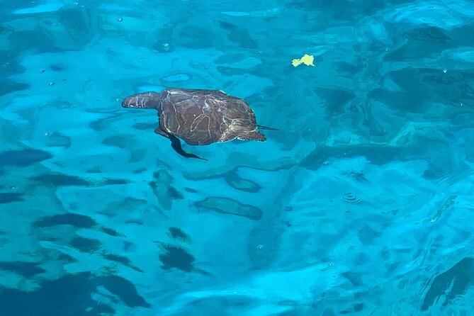 ADULTS 16+ LUXURY YACHT - from Protaras Cypriot lunch & 1 drink - Set out on a Scenic Ride with the Largest Yacht in Protaras