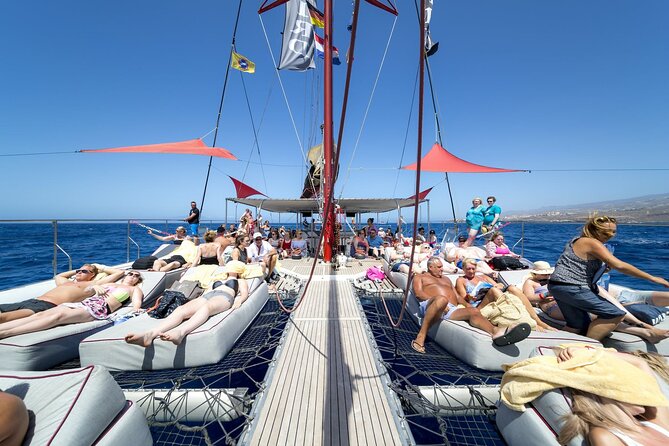 Adults Only Tenerife Freebird Whale Dolphin Catamaran with Lunch - Included Amenities and Extras