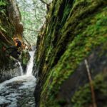 Adventure Canyoning Kelowna - Inside the Canyon: Exploring the Lush Environment
