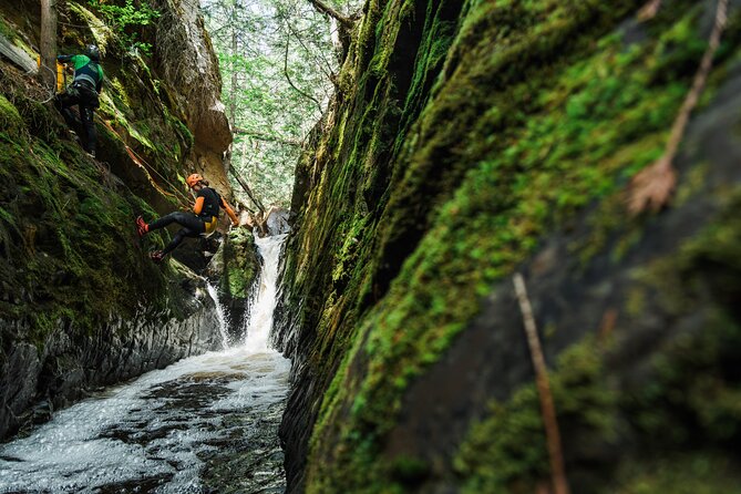 Adventure Canyoning Kelowna - Inside the Canyon: Exploring the Lush Environment