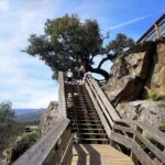 Adventure in Nature: Passages of Paiva and Arouca Bridge - First Stop: Welcome and Transit to Arouca