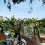 Adventure in the Prosecco Hills by Yellowboot - Tasting at the Second Prosecco DOCG Winery