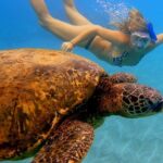 Afternoon Adventure Snorkel from Ka'anapali - Starting Point at Kaanapali Beach with Easy Access