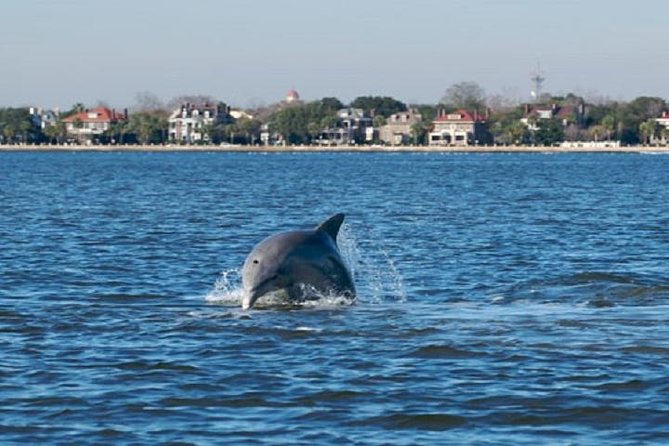 Afternoon Schooner Sightseeing Dolphin Cruise on Charleston Harbor - Embarkation at Aquarium Wharf on the Schooner Pride