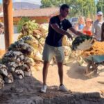 Agave Adventures Mexico - Sampling a Wide Range of Mezcals