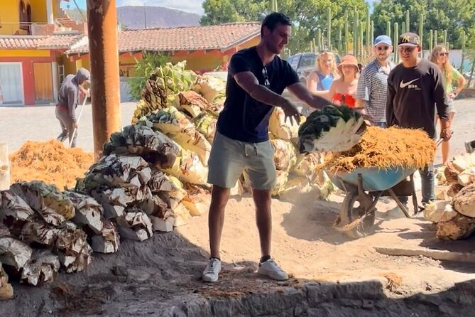 Agave Adventures Mexico - Sampling a Wide Range of Mezcals