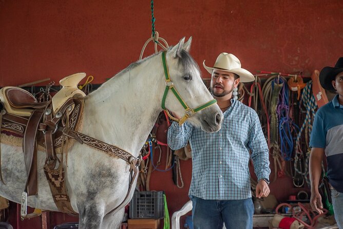 Agaves and Tequila Horseback Ride in El Arenal Jalisco - Exploring the Scenic Santa Quiteria Trail and Agave Fields