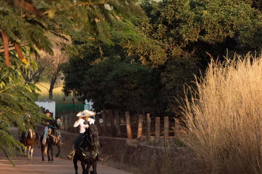 Agaves and Tequila Horseback Ride in El Arenal Jalisco - Starting Point at Rancho Agavero Don Jacinto