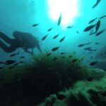 Agropoli: Scuba Diving Experience - Starting Point in Agropoli’s Contrada Torre Mangone