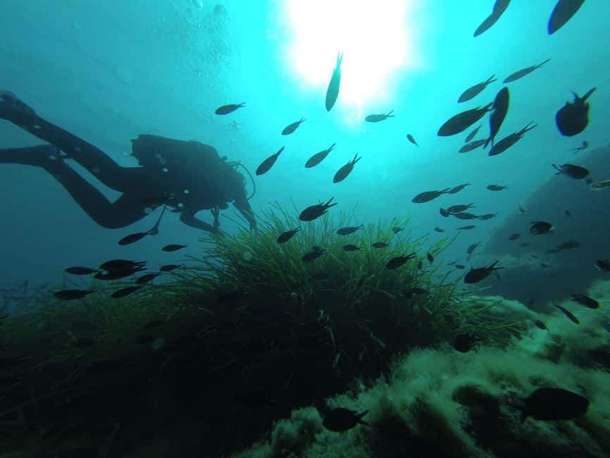 Agropoli: Scuba Diving Experience - Starting Point in Agropoli’s Contrada Torre Mangone