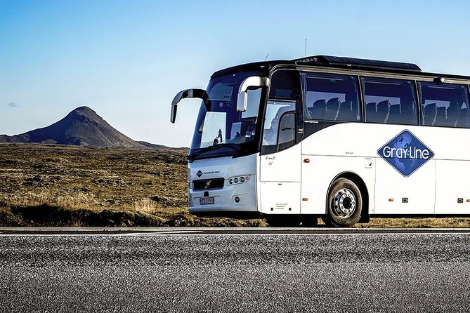 Airport Express Shared Departure Transfer from Reykjavik Hotels to Keflavik Airport - From Reykjavik Hotels to the Bus Terminal: The Starting Point