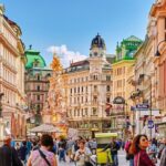 Airport Transfer: Vienna to Vienna Airport VIE by Luxury Van - Professional Driver Meets You at Your Hotel Reception