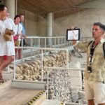 Akrotiri Private Guided Tour with an Archaeologist - The Expertise of Your Archaeologist Guide