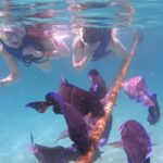 Akumal Beach: Ecologic Turtle Snorkeling Tour & Gopro Photos - Easy Access to a Beautiful Natural Setting