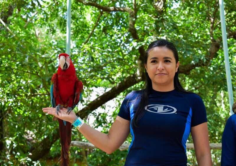 Akumal: Monkey Sanctuary, ATV, Cenote, & Yalku Snorkel Tour - Starting Point and Trip Duration in Tulum