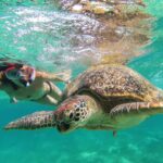 Akumal Reef & Turtle Swim - Convenient Pickup and Transportation from Playa del Carmen