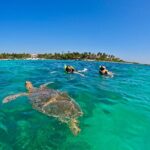 Akumal; Snorkeling with The Sea Turtles - Experience Customization and Flexibility
