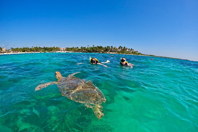 Akumal; Snorkeling with The Sea Turtles - Experience Customization and Flexibility