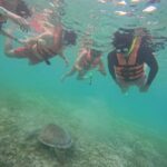 Akumal: Swim in Yalkuito and a cenote water outlet + Snorkel with turtles - Starting Point at The Crazy Turtle Parking Lot