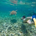 Akumal: Swim with Turtles in a Natural Paradise - Starting Point at Oxxo Mar Azul and Easy Access to Marine Wonders