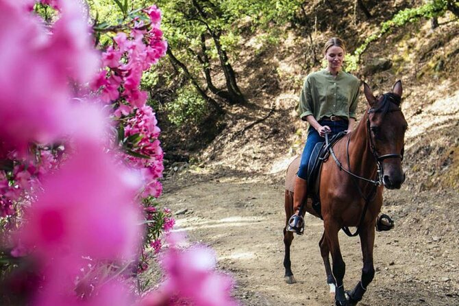 Alanya Horse Riding Experience With Free Hotel Transfer - Practical Details: Logistics and Group Size