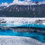 Alaska Heli Hiking - ANCHORAGE AREA - Prime Timing During Alaska’s Wildflower and Berries Seasons