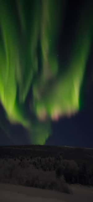 Alaska: Private Northern Lights Viewing Tour - Starting from Fairbanks: Pickup and Transportation