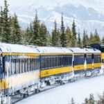 Alaska Railroad Aurora Winter Fairbanks to Anchorage One Way - Tips for Booking and Preparing for the Trip