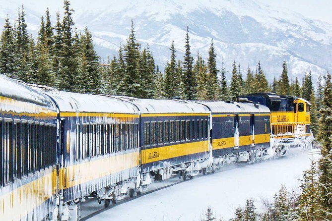 Alaska Railroad Aurora Winter Fairbanks to Anchorage One Way - Tips for Booking and Preparing for the Trip