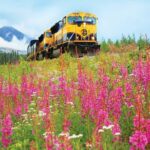 Alaska Railroad Denali to Anchorage One Way - From Denali to the Alaska Range at Broad Pass