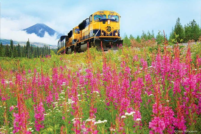 Alaska Railroad Denali to Anchorage One Way - From Denali to the Alaska Range at Broad Pass
