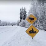 Alaska Snowmobile Adventure Tour - Exploring the Remote Trails of Chena Lakes Recreation Area