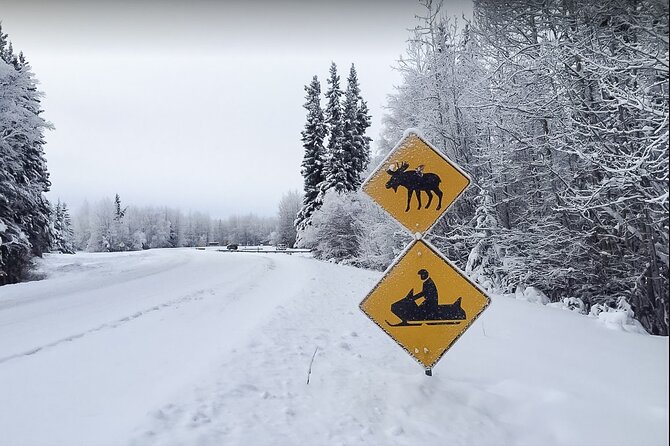 Alaska Snowmobile Adventure Tour - Exploring the Remote Trails of Chena Lakes Recreation Area