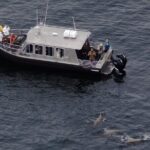 Alaska Whale Watching with bonus Drone viewing of Whales - Captain Josh: Knowledgeable and Engaging Guide