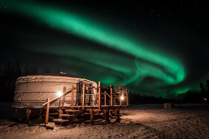 Alaskan Escape: Aurora Viewing & Dog Sledding Adventure Fairbanks - Cozy Mongolian Yurt with Warm Drinks and Snacks