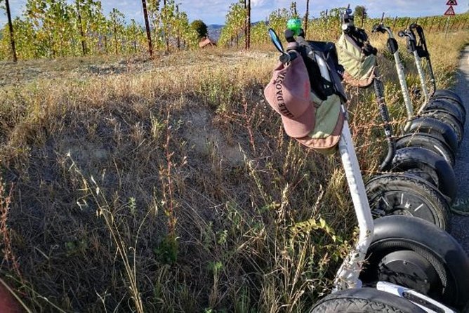 Albahills Segway Tour & Wine Tasting - Riding Through the Vineyard Hills of Le Langhe