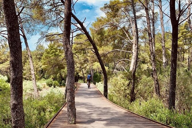 Albanian Gems: Berat and Karavasta Lagoon Day Trip - Exploring Berat Castle and Its Historic Significance