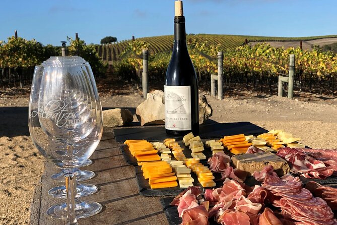 Albatross Ridge Vineyards Electric Bike Tour & Wine Tasting - The Unique Vines of Carmel Coast and Hills