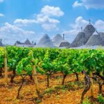 Alberobello Private Tour: Wine, Food, Trulli & Flavors of Puglia - Scenic Drive Through the Apulian Countryside