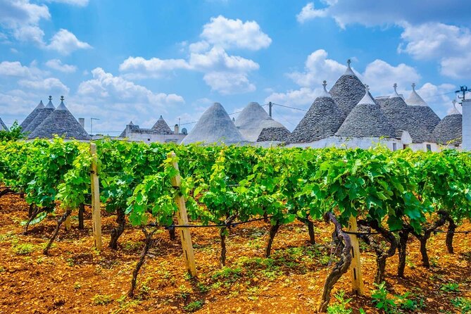 Alberobello Private Tour: Wine, Food, Trulli & Flavors of Puglia - Scenic Drive Through the Apulian Countryside