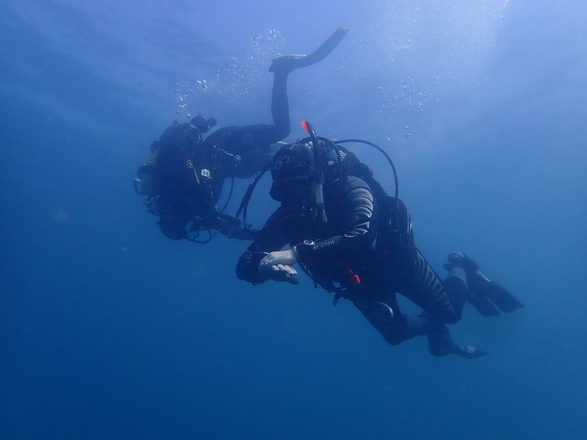 Albufeira: 2 DIVES TRIP (ONLY CERTIFIED DIVERS) - Starting Your Day at Easydivers Dive Center in Albufeira